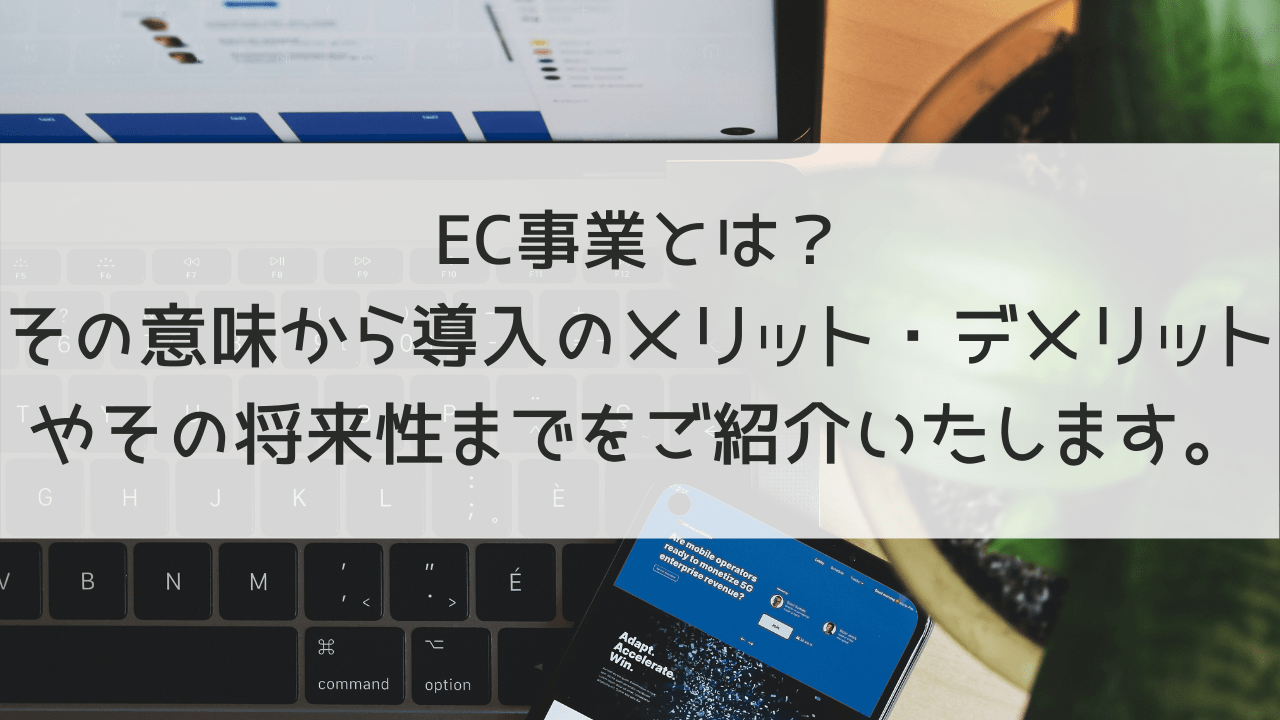 EC事業とは？その意味から導入のメリット・デメリットやその将来性までご紹介いたします。