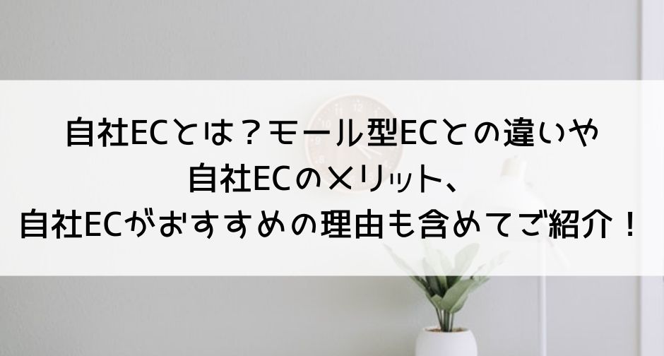 自社ECとは？モール型ECとの違いや自社ECのメリット、自社ECがおすすめの理由も含めてご紹介！